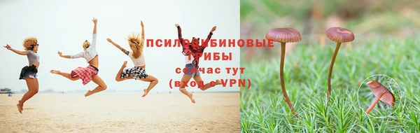 a pvp Верея