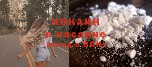 мет Бородино