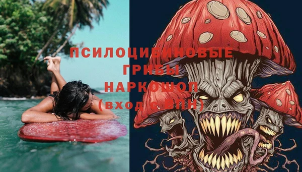 a pvp Верея