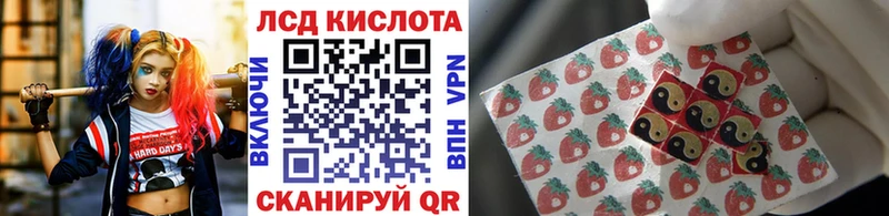дарнет шоп  Кинель  Марки 25I-NBOMe 1,5мг 