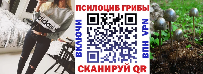 Галлюциногенные грибы MAGIC MUSHROOMS Кинель